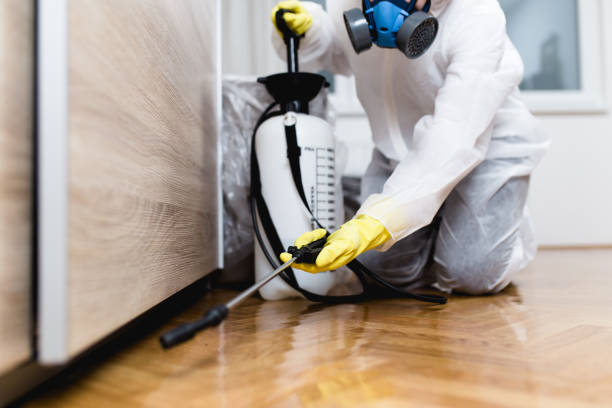 Best Flea Control Services  in Manchester, TN