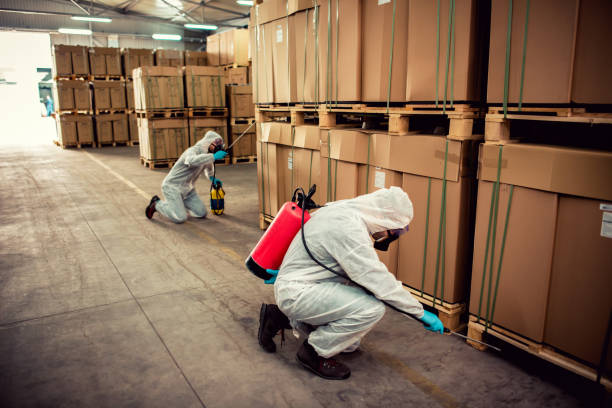Best Pest Removal Services  in Manchester, TN