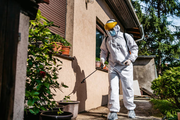 Best Termite Control Services  in Manchester, TN