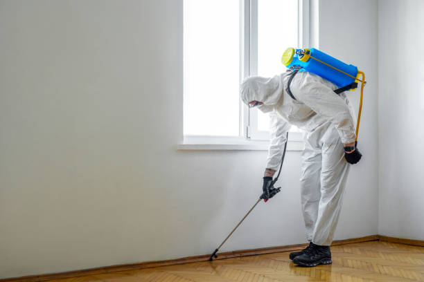 Professional Pest Control in Manchester, TN