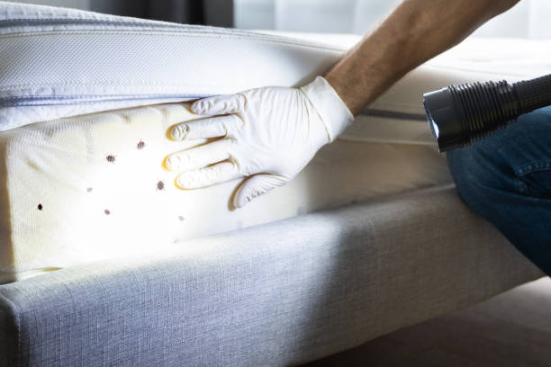 Best Pest Inspection Near Me  in Manchester, TN