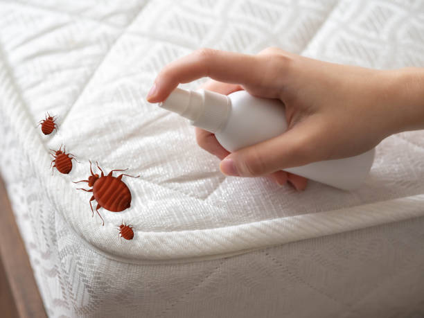 Best Residential Pest Control  in Manchester, TN