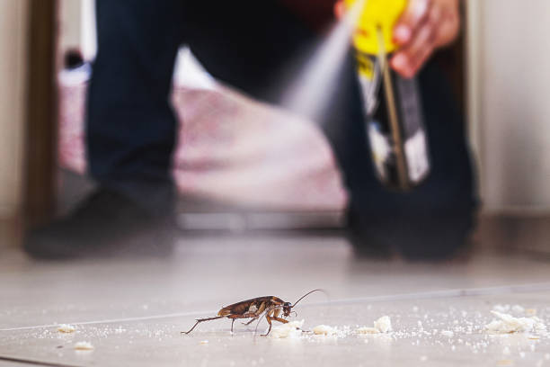 Best Best Pest Control Companies  in Manchester, TN