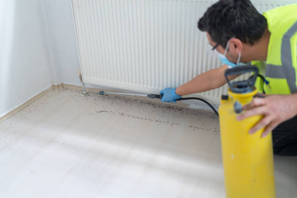 Wasp Removal Services in Manchester, TN