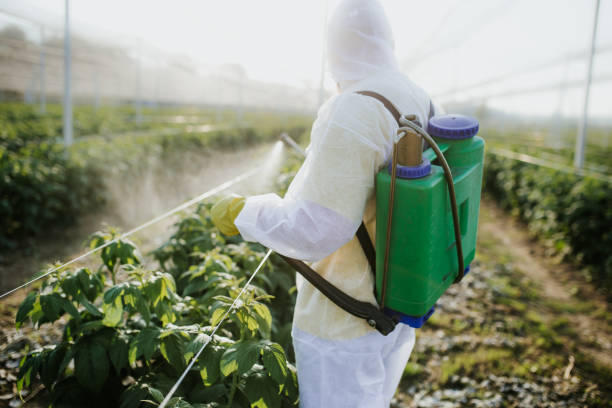 Flea Control Services in Manchester, TN